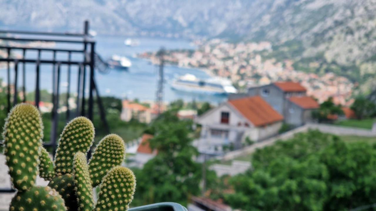 Anastasija 2 Lejlighed Kotor Eksteriør billede
